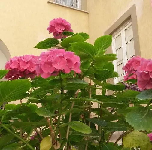 Casa de Férias Casa Girasole *